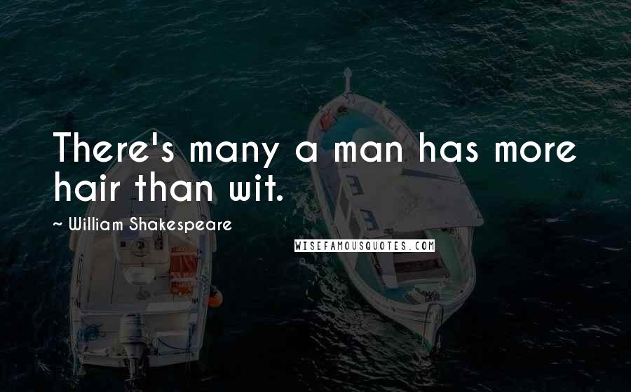 William Shakespeare Quotes: There's many a man has more hair than wit.