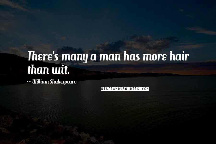 William Shakespeare Quotes: There's many a man has more hair than wit.