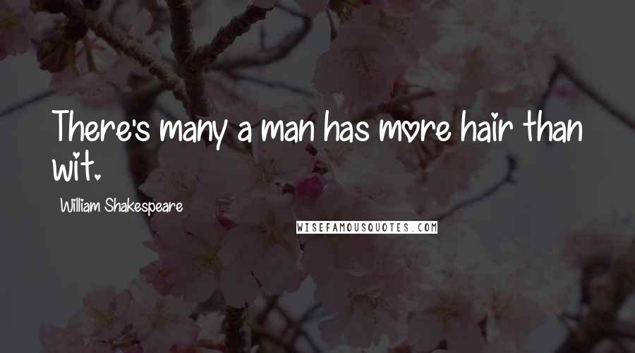 William Shakespeare Quotes: There's many a man has more hair than wit.