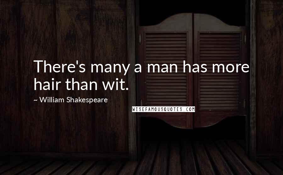 William Shakespeare Quotes: There's many a man has more hair than wit.