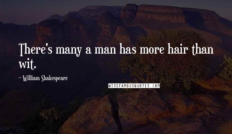 William Shakespeare Quotes: There's many a man has more hair than wit.