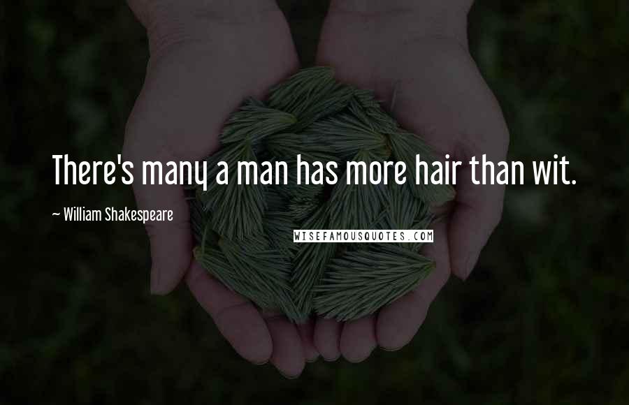 William Shakespeare Quotes: There's many a man has more hair than wit.