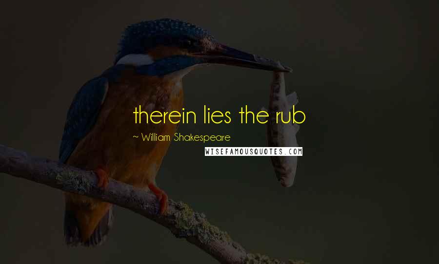 William Shakespeare Quotes: therein lies the rub
