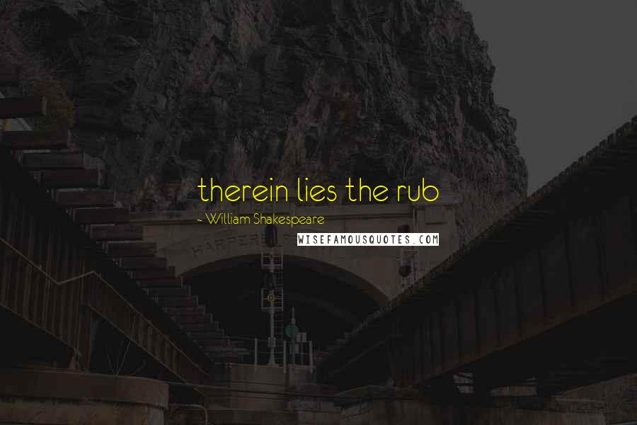 William Shakespeare Quotes: therein lies the rub