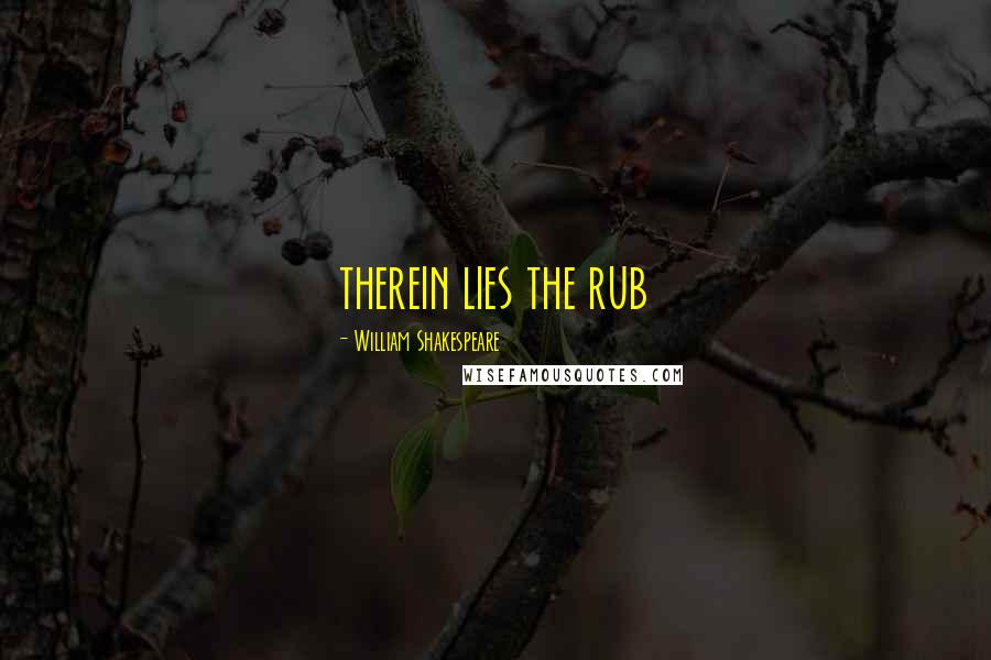 William Shakespeare Quotes: therein lies the rub