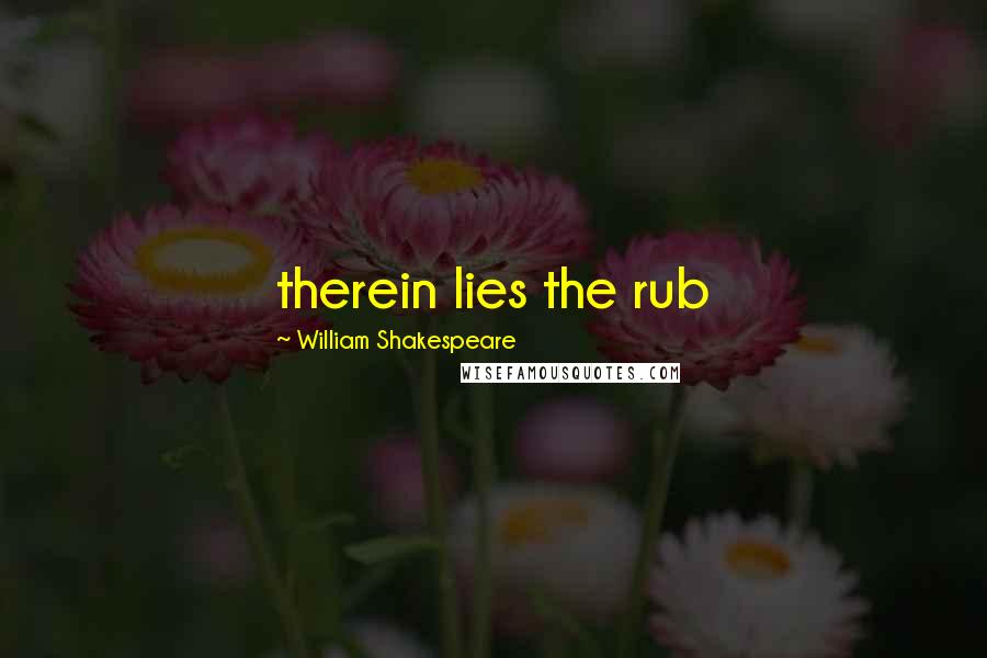 William Shakespeare Quotes: therein lies the rub