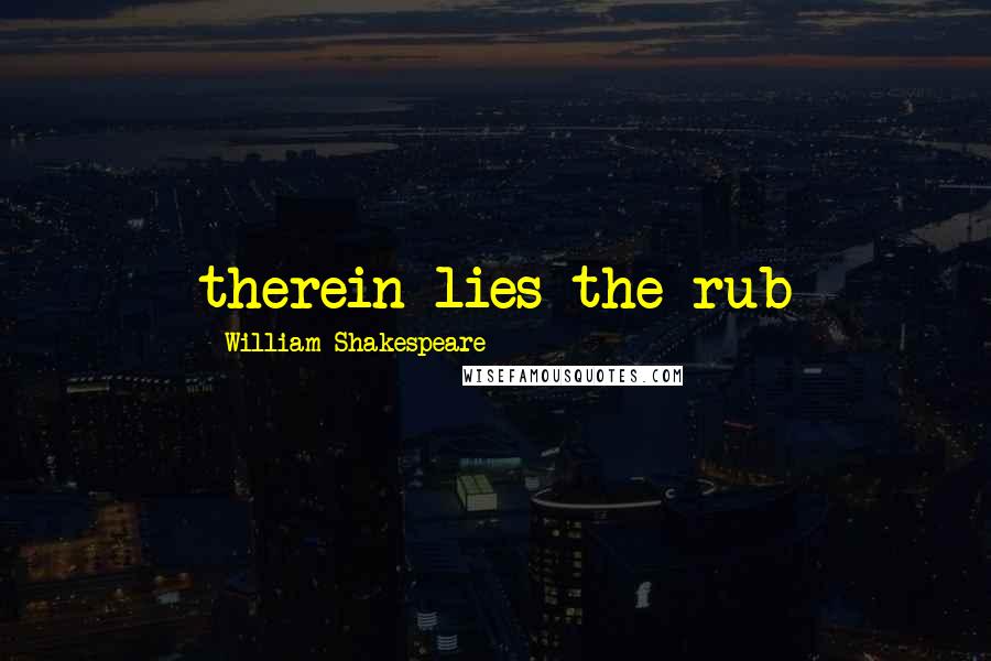 William Shakespeare Quotes: therein lies the rub