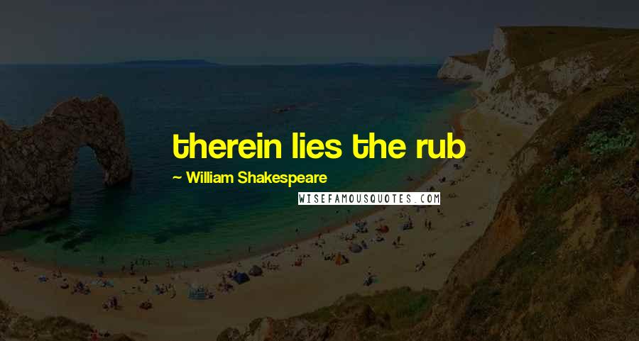 William Shakespeare Quotes: therein lies the rub