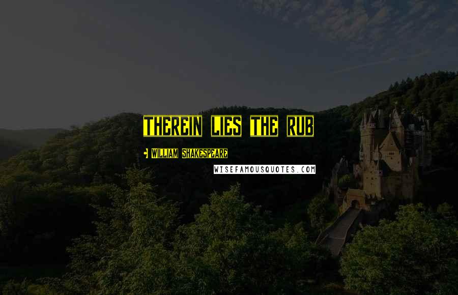 William Shakespeare Quotes: therein lies the rub