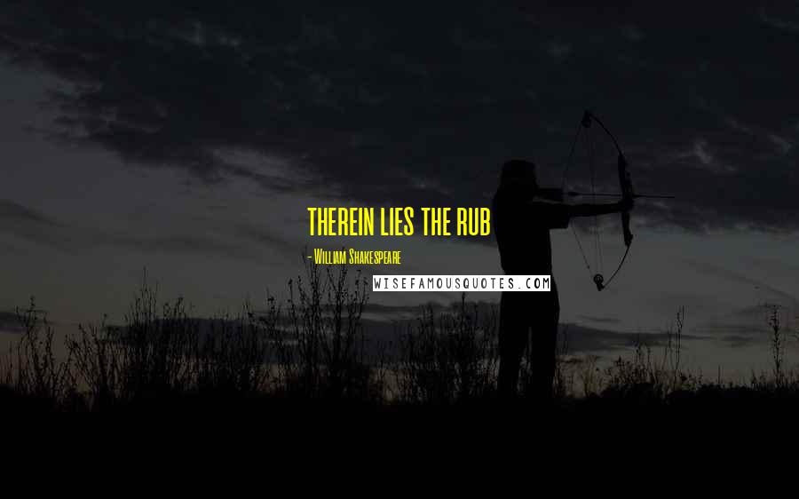 William Shakespeare Quotes: therein lies the rub