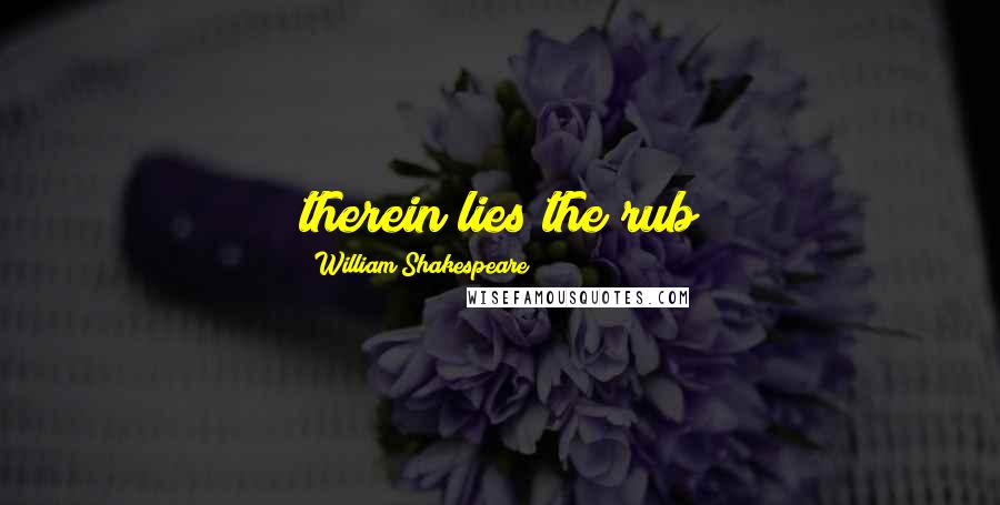 William Shakespeare Quotes: therein lies the rub