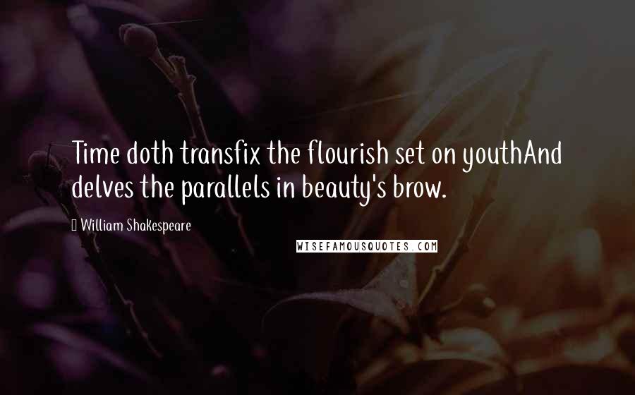 William Shakespeare Quotes: Time doth transfix the flourish set on youthAnd delves the parallels in beauty's brow.