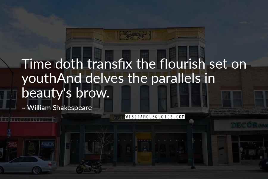 William Shakespeare Quotes: Time doth transfix the flourish set on youthAnd delves the parallels in beauty's brow.