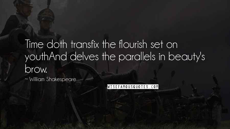 William Shakespeare Quotes: Time doth transfix the flourish set on youthAnd delves the parallels in beauty's brow.