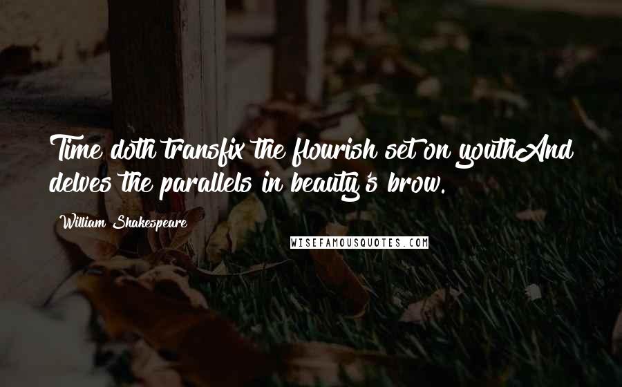 William Shakespeare Quotes: Time doth transfix the flourish set on youthAnd delves the parallels in beauty's brow.