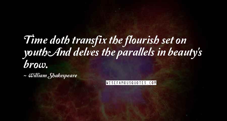 William Shakespeare Quotes: Time doth transfix the flourish set on youthAnd delves the parallels in beauty's brow.