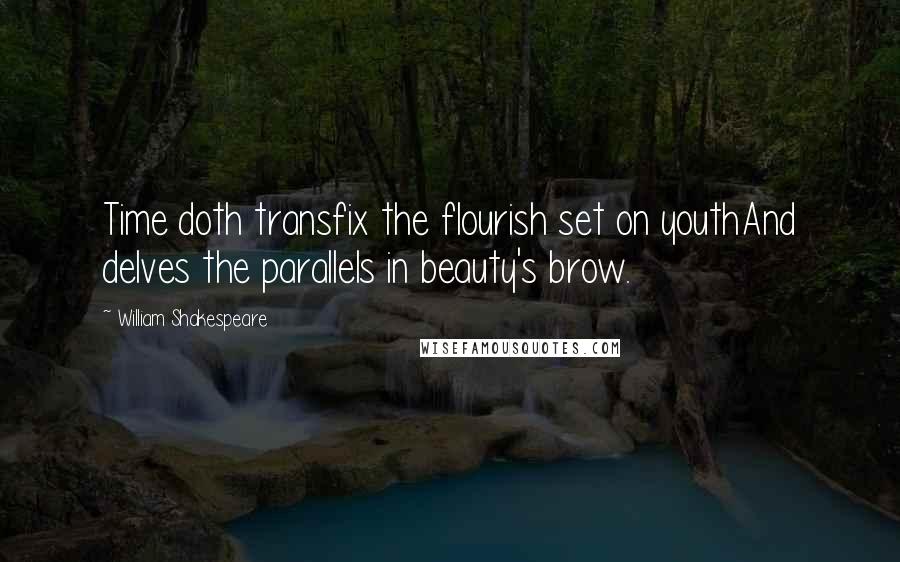 William Shakespeare Quotes: Time doth transfix the flourish set on youthAnd delves the parallels in beauty's brow.