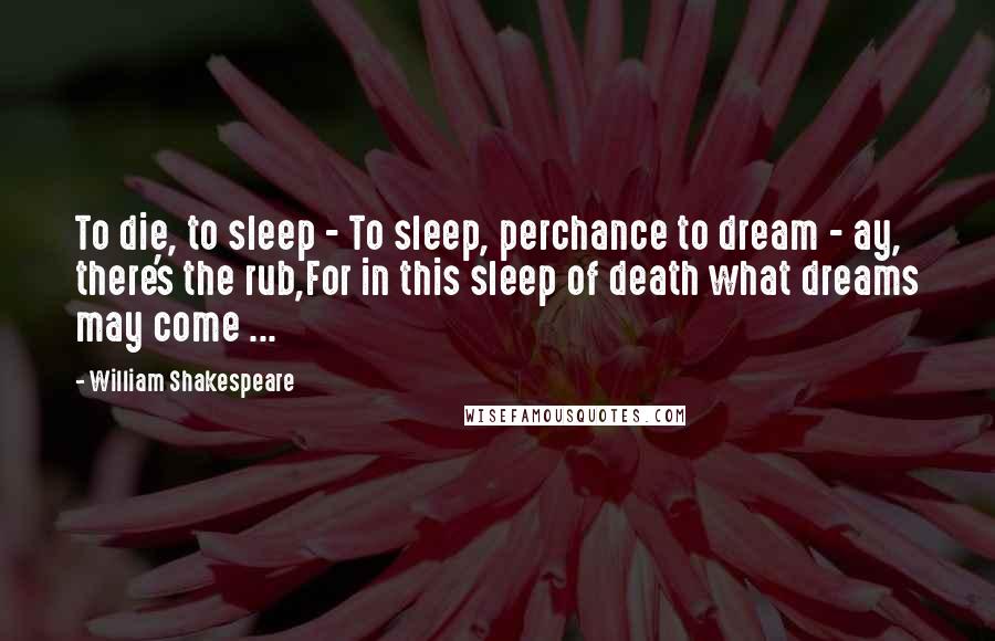 William Shakespeare Quotes: To die, to sleep - To sleep, perchance to dream - ay, there's the rub,For in this sleep of death what dreams may come ...