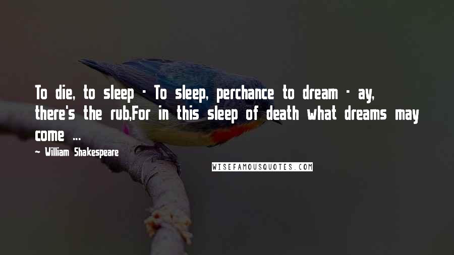 William Shakespeare Quotes: To die, to sleep - To sleep, perchance to dream - ay, there's the rub,For in this sleep of death what dreams may come ...