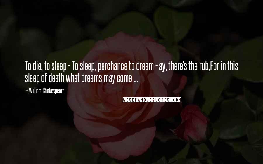 William Shakespeare Quotes: To die, to sleep - To sleep, perchance to dream - ay, there's the rub,For in this sleep of death what dreams may come ...