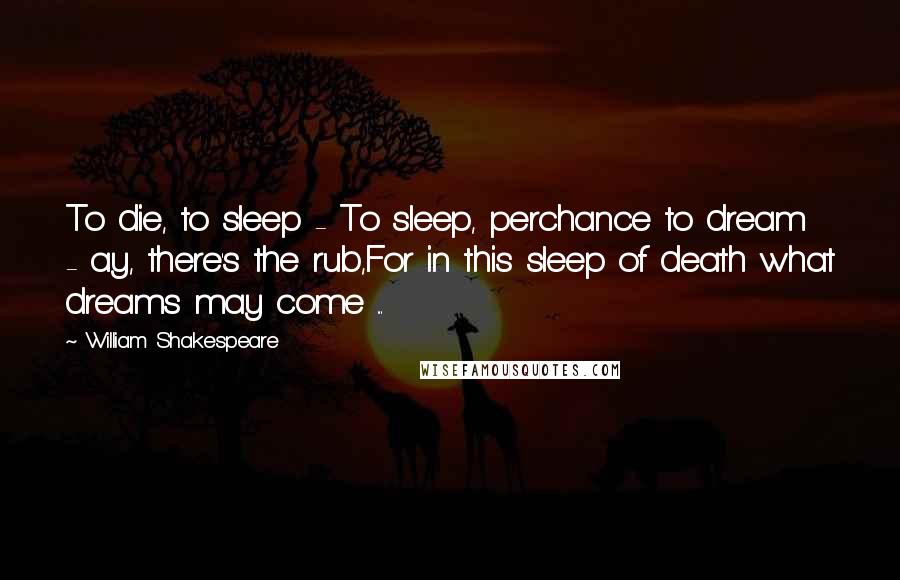 William Shakespeare Quotes: To die, to sleep - To sleep, perchance to dream - ay, there's the rub,For in this sleep of death what dreams may come ...
