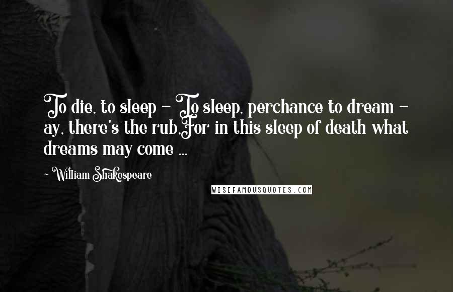 William Shakespeare Quotes: To die, to sleep - To sleep, perchance to dream - ay, there's the rub,For in this sleep of death what dreams may come ...