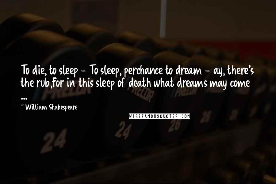 William Shakespeare Quotes: To die, to sleep - To sleep, perchance to dream - ay, there's the rub,For in this sleep of death what dreams may come ...