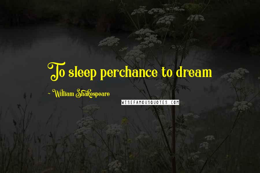 William Shakespeare Quotes: To sleep perchance to dream
