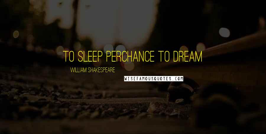 William Shakespeare Quotes: To sleep perchance to dream