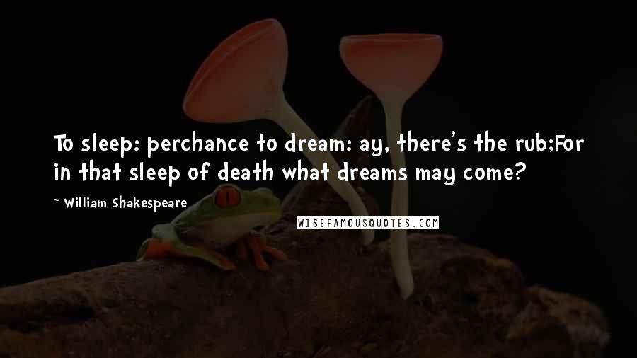 William Shakespeare Quotes: To sleep: perchance to dream: ay, there's the rub;For in that sleep of death what dreams may come?