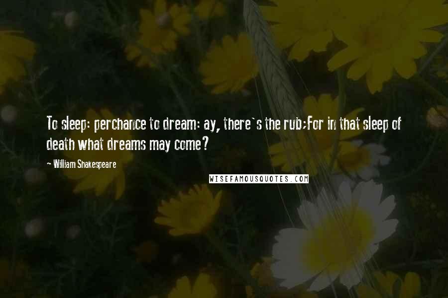 William Shakespeare Quotes: To sleep: perchance to dream: ay, there's the rub;For in that sleep of death what dreams may come?