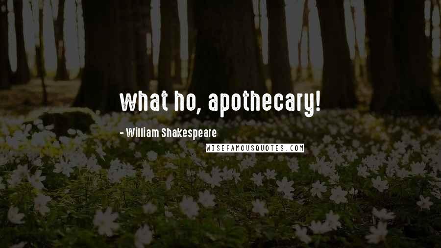 William Shakespeare Quotes: what ho, apothecary!