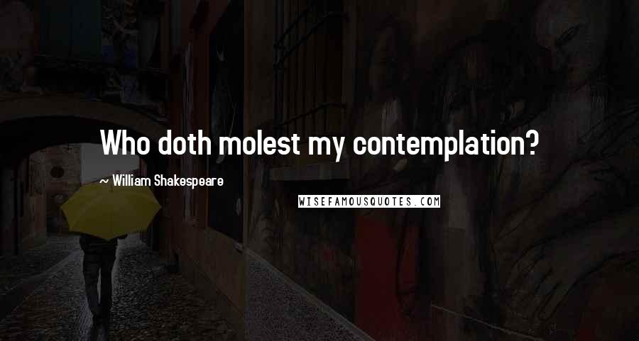 William Shakespeare Quotes: Who doth molest my contemplation?