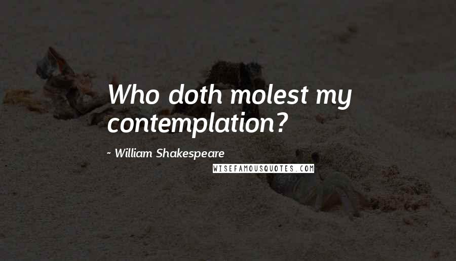 William Shakespeare Quotes: Who doth molest my contemplation?