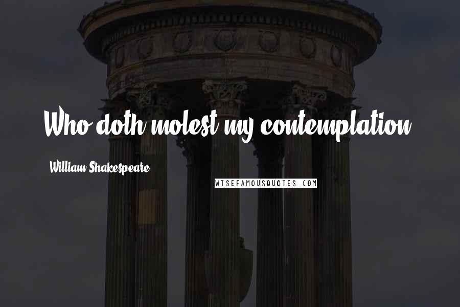 William Shakespeare Quotes: Who doth molest my contemplation?