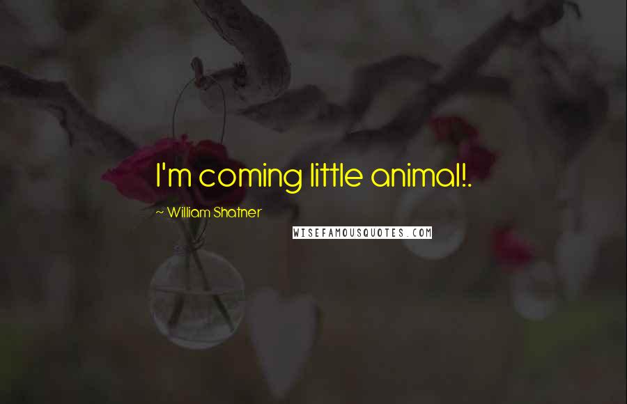 William Shatner Quotes: I'm coming little animal!.