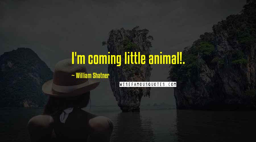 William Shatner Quotes: I'm coming little animal!.