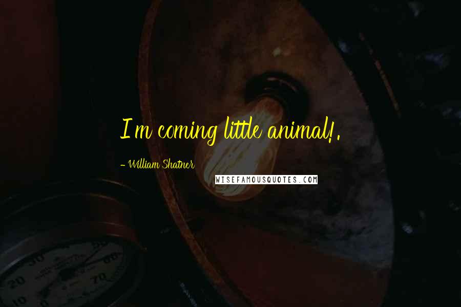 William Shatner Quotes: I'm coming little animal!.