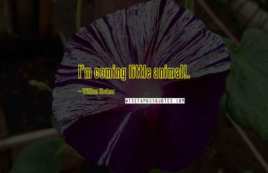 William Shatner Quotes: I'm coming little animal!.
