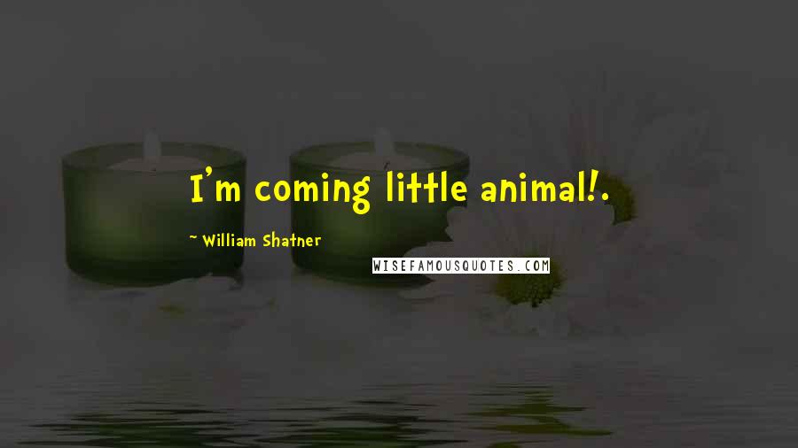 William Shatner Quotes: I'm coming little animal!.