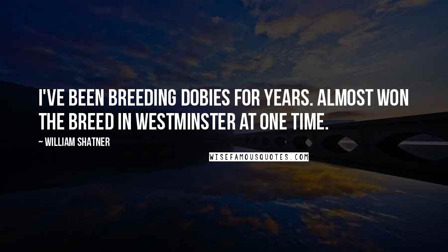 William Shatner Quotes: I've been breeding Dobies for years. Almost won the breed in Westminster at one time.
