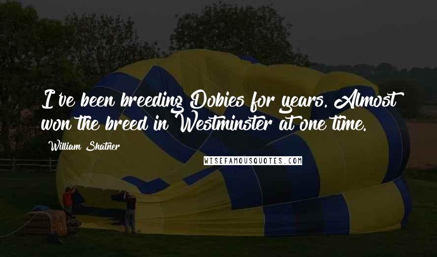 William Shatner Quotes: I've been breeding Dobies for years. Almost won the breed in Westminster at one time.