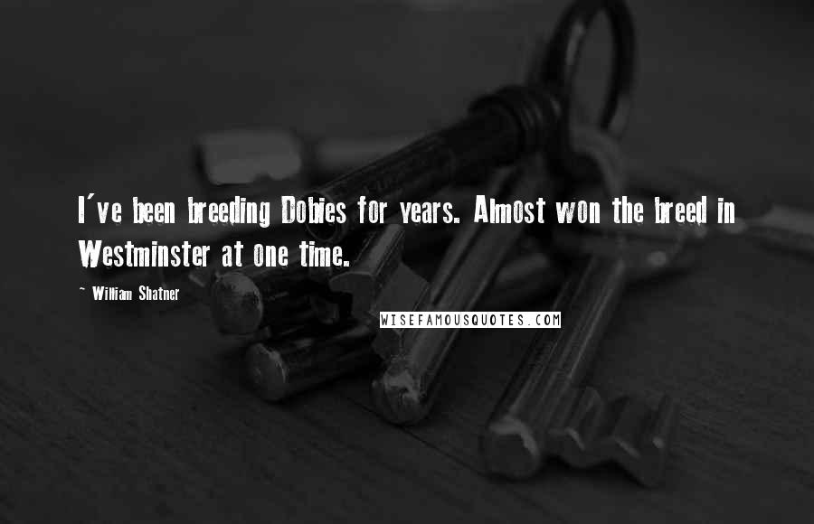 William Shatner Quotes: I've been breeding Dobies for years. Almost won the breed in Westminster at one time.