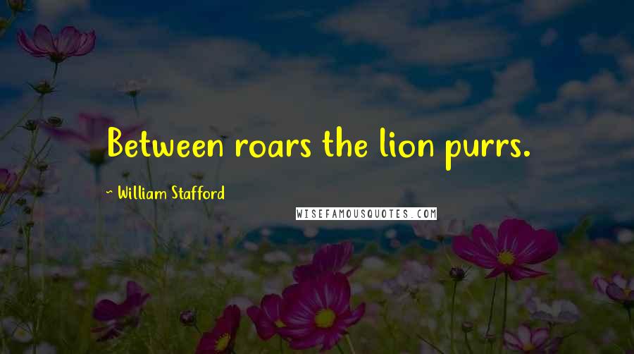 William Stafford Quotes: Between roars the lion purrs.