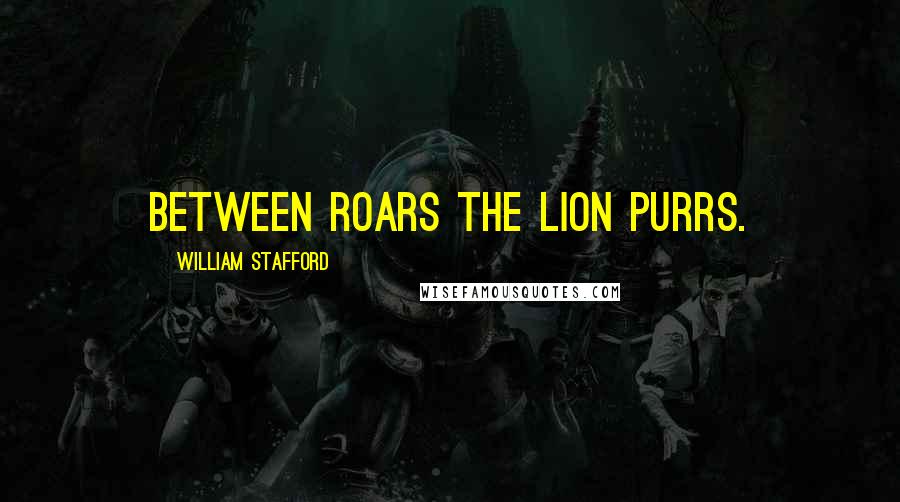 William Stafford Quotes: Between roars the lion purrs.