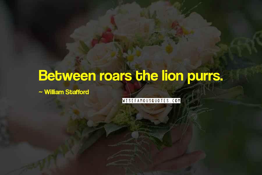 William Stafford Quotes: Between roars the lion purrs.