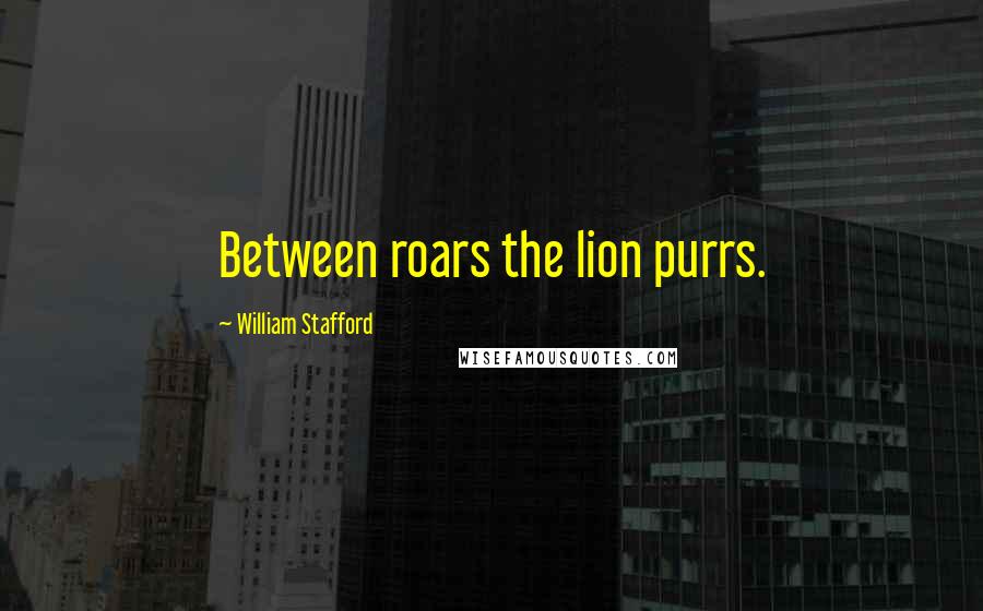 William Stafford Quotes: Between roars the lion purrs.