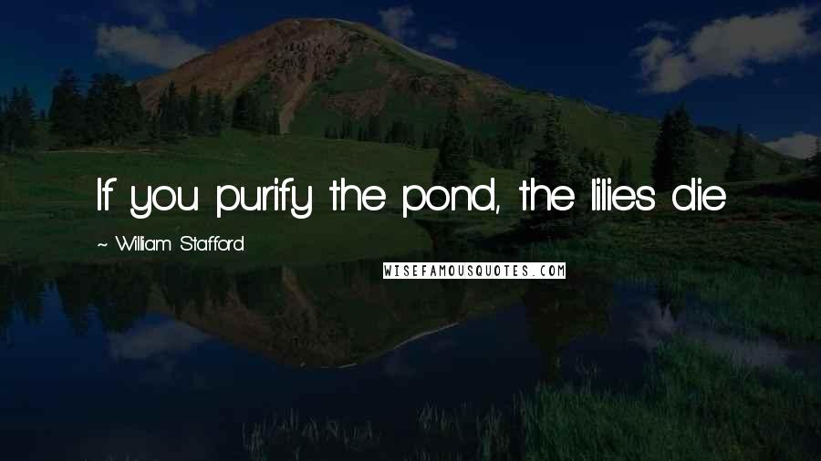 William Stafford Quotes: If you purify the pond, the lilies die