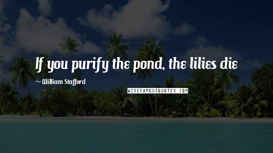 William Stafford Quotes: If you purify the pond, the lilies die