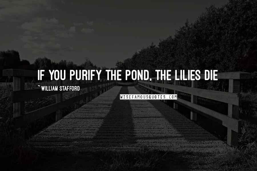 William Stafford Quotes: If you purify the pond, the lilies die